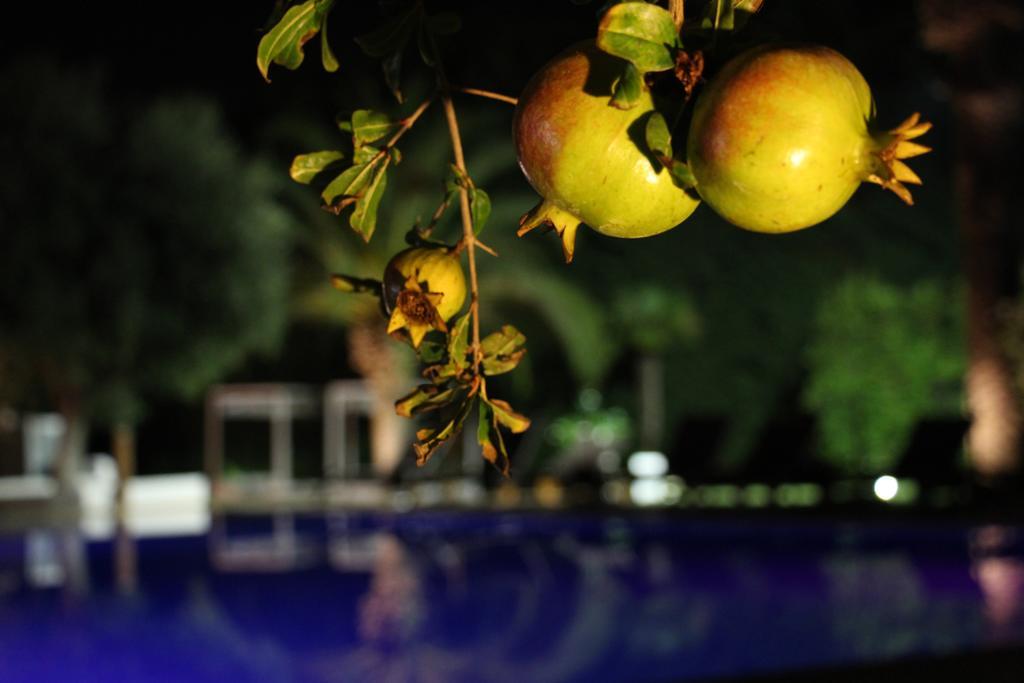 Hotel Terranobile Metaresort Bari Dış mekan fotoğraf